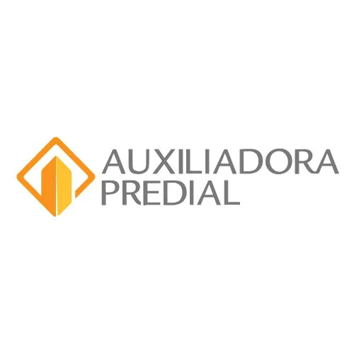 LOGO-AUXILIADORA.jpg